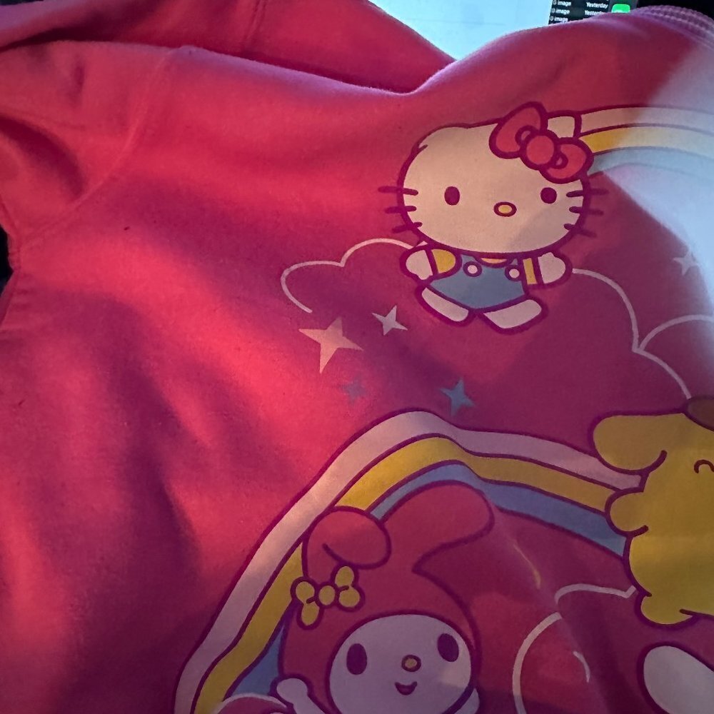 Hello Kitty and Friends Pink Sweatshirt size XL - Picture 4 of 8